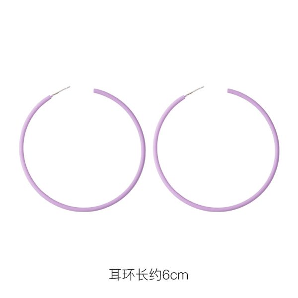 925 silver pin earrings 2023 new trendy purple simple and fresh stud earrings Korean style hot selling flowers earrings - Image 13