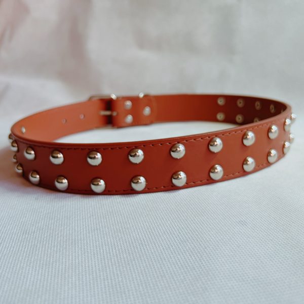 Pet Collar Manufacturers supply dog anti-bite rivet collar hand holding rope dog leash baseball collar wholesale - Image 2